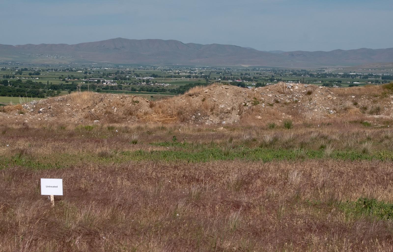 Grassy area with a sing posted in it saying "untreated"