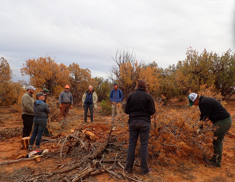 Group discussion of soil conditions after digging a shallow soil pit.