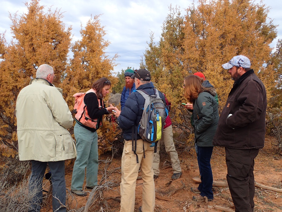 Liz Hebertson showing evidence of insect damage in a wood sample.