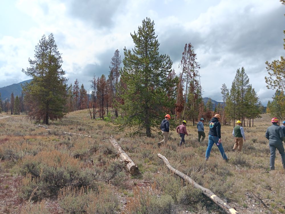 A group of people wearing hard hats walk through a meadow.