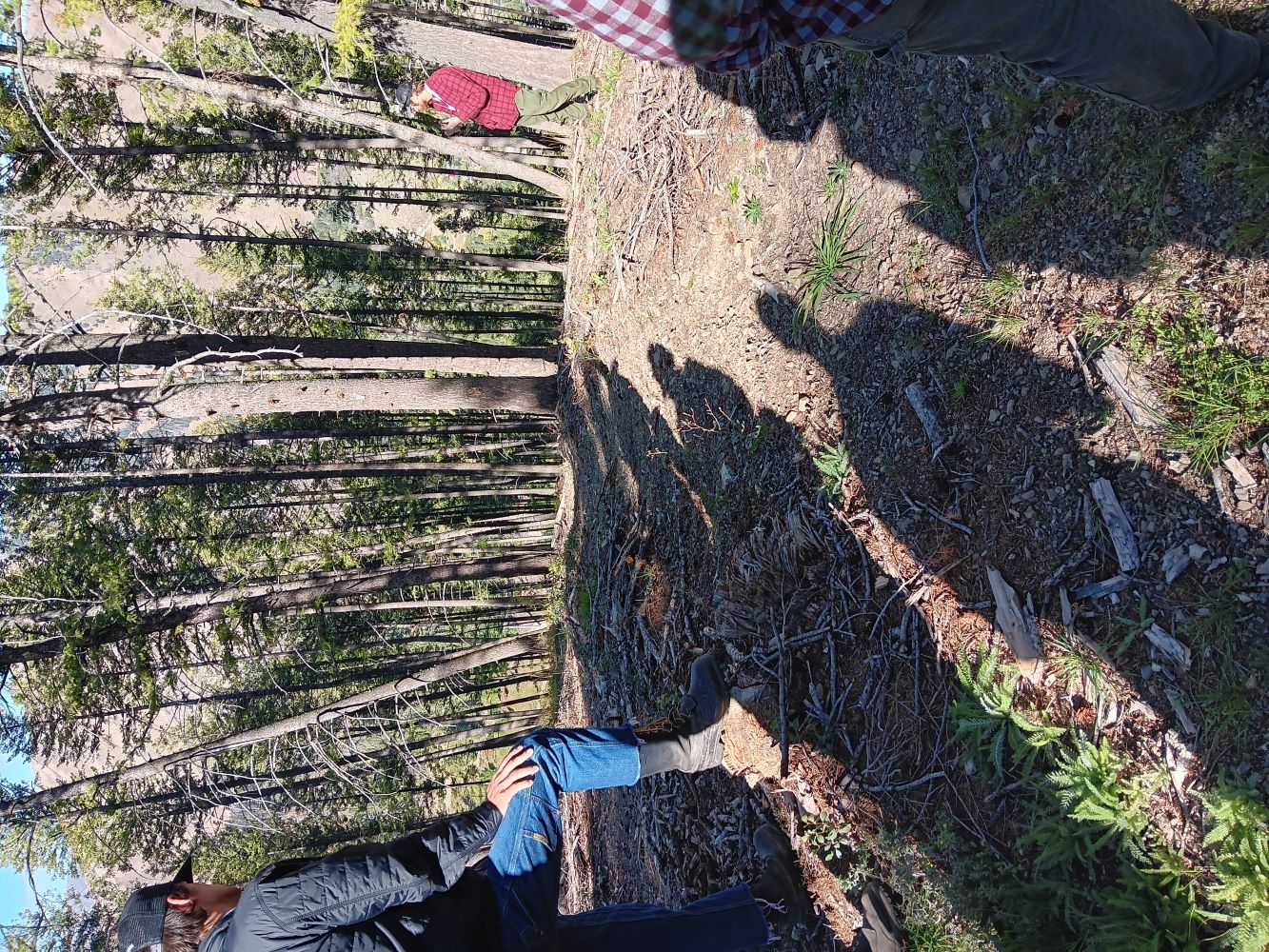 People listen to a man in a red shirt in front of a thick forest stand.