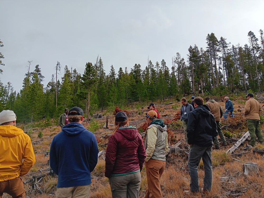 A group of people stand on a slope in a clearing.