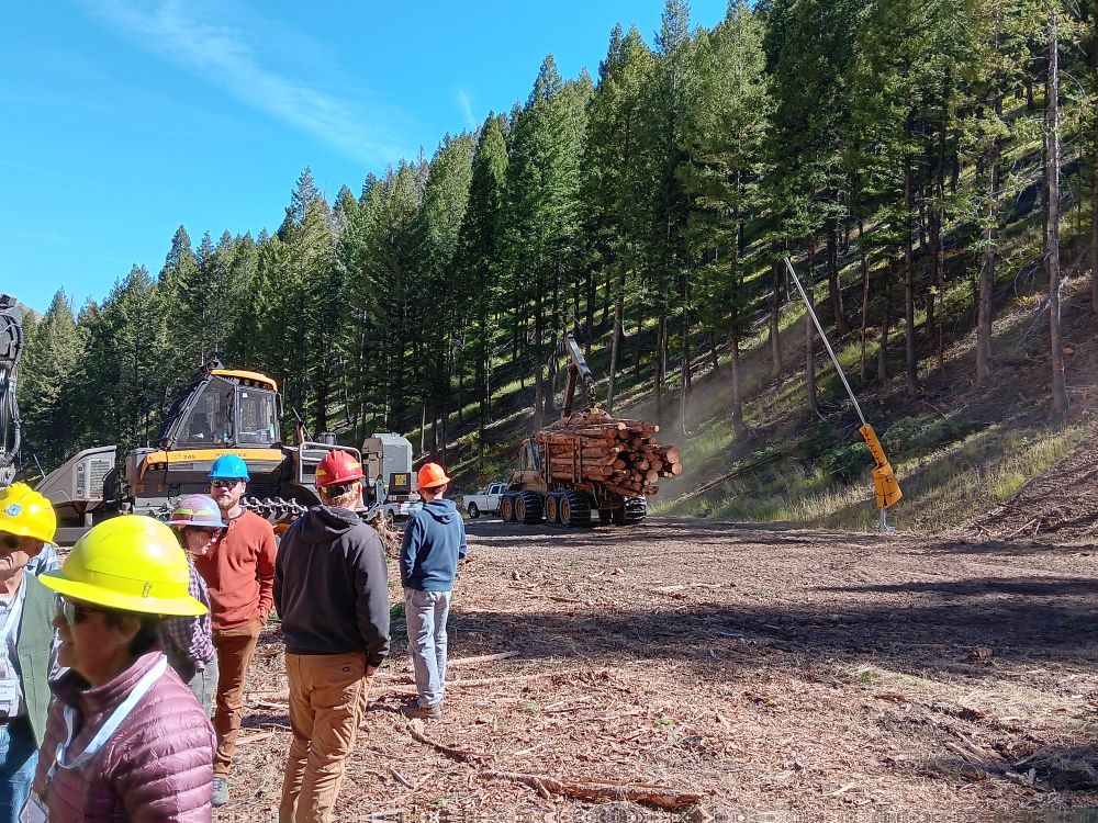 People wearing hard hats watch a logging truck drive past.