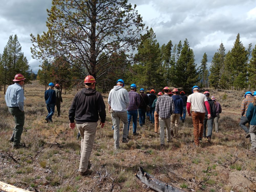 People in hard hats walk towards the dirt forest road.