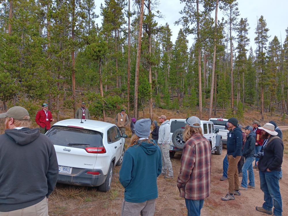 A group of people stand near cars on a forest road.