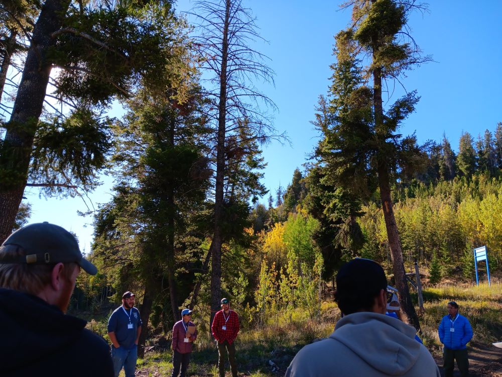 People stand in a circle in a forest discussing.