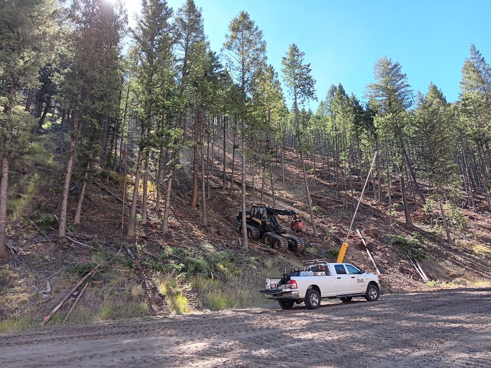 Logging equipment slowly descends the hill towards the road.