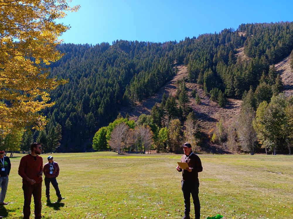 People stand on a lawn talking about the forest on the mountainside.