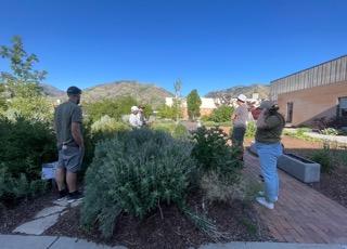 People gathered around a garden. 