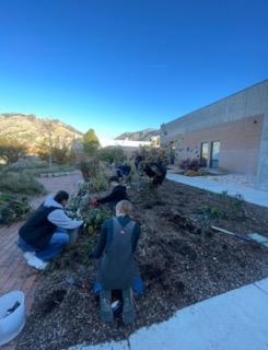 People working in a garden