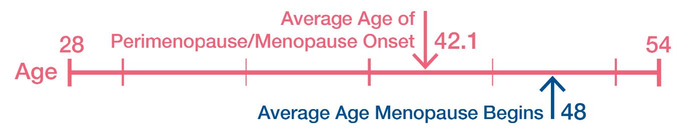 Timeline showing the typical age range for perimenopause and menopause. Perimenopause/menopause onset begins around age 28, with an average onset at age 42.1, while menopause typically begins at an average age of 48 and generally occurs between ages 28 and 54.