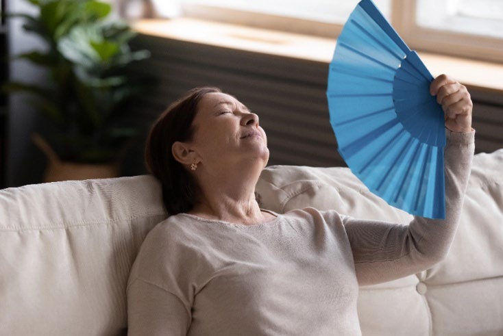 Woman sitting on a couch with a hand held fan.