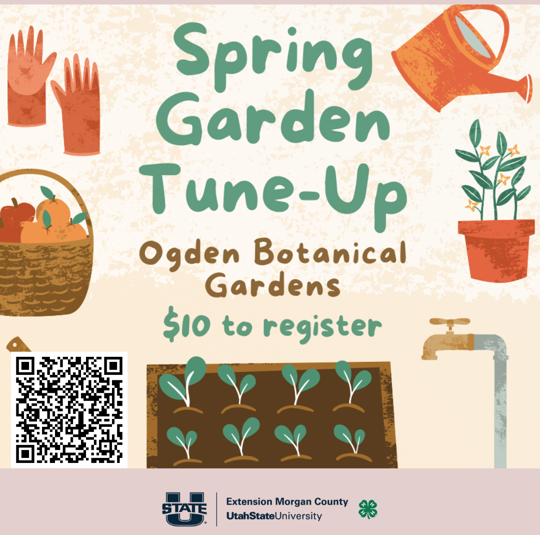 Garden tools and plants