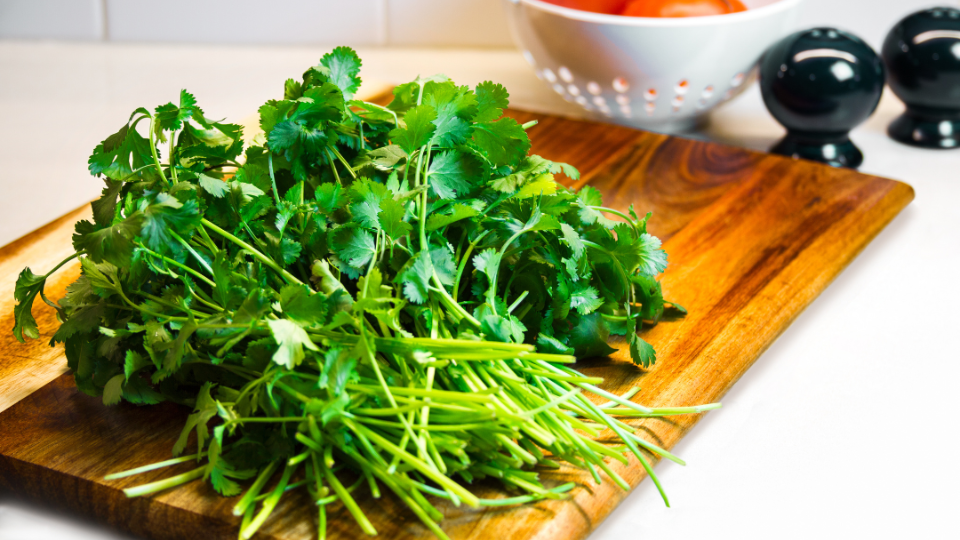 Fruit and Vegetable Guide Series: Cilantro