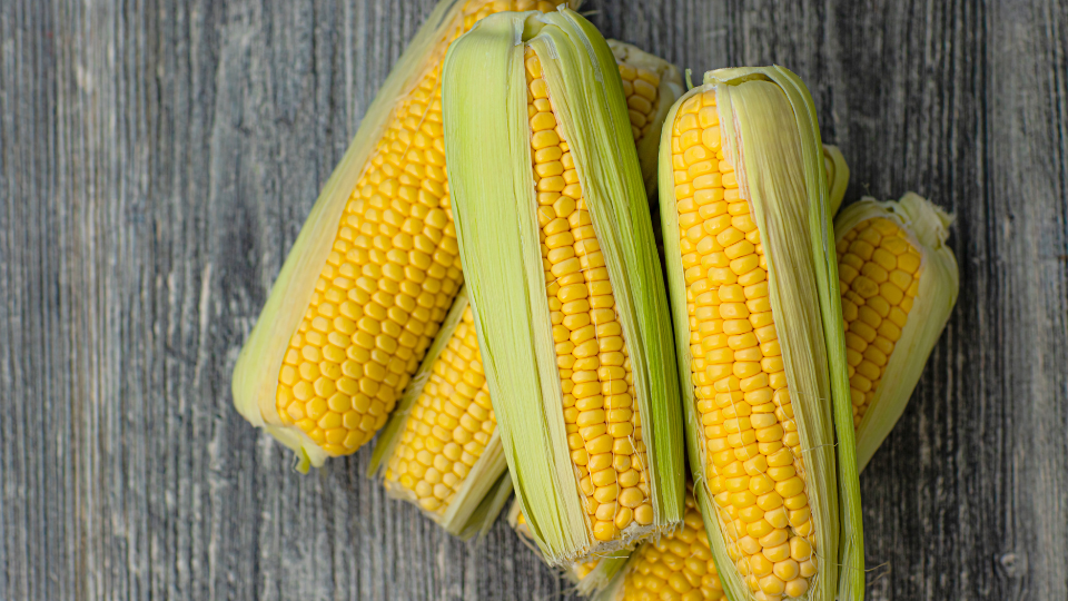 Fruit and Vegetable Guide Series: Corn