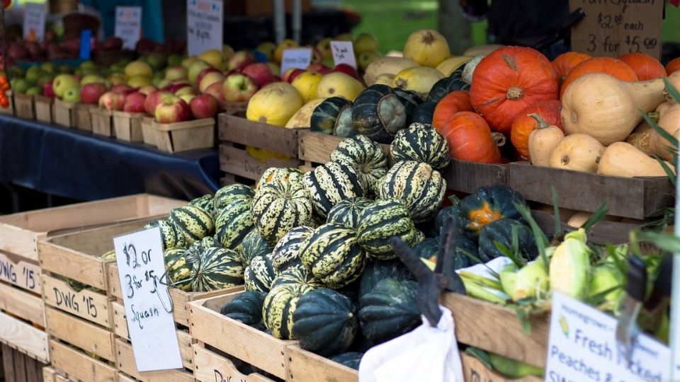 Targeting Farmers’ Markets in Utah: Understanding Fresh Produce Pricing