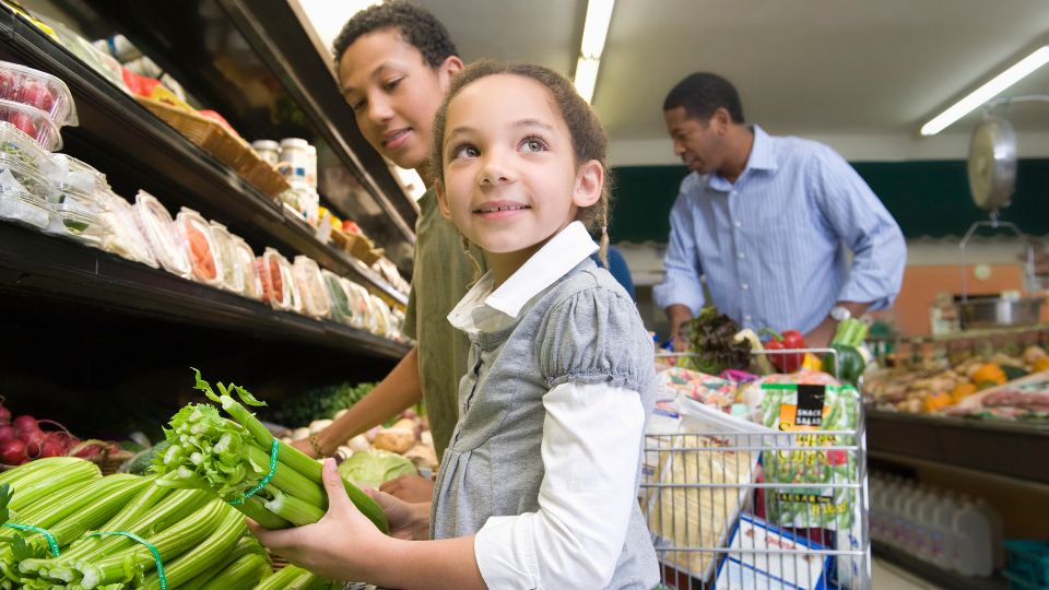 Access to Healthy and Nutritious Food in Utah: Results From the 2024 Utah Wellbeing Survey