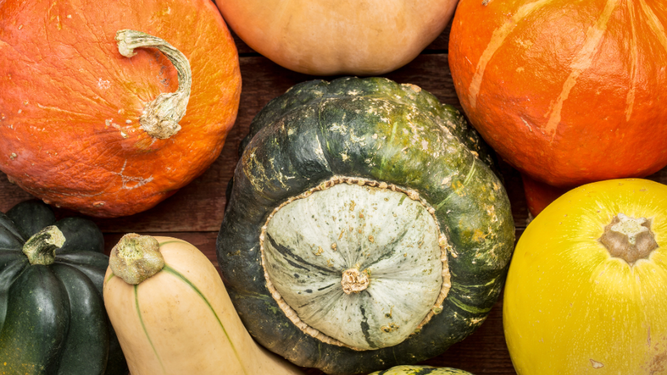 Fruit and Vegetable Guide Series: Winter Squash