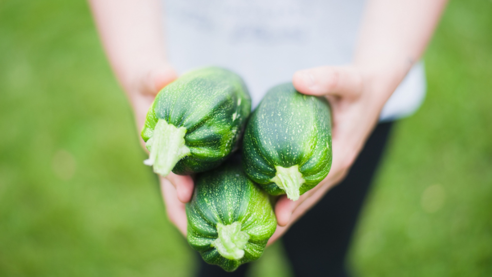 Fruit and Vegetable Guide Series: Zucchini