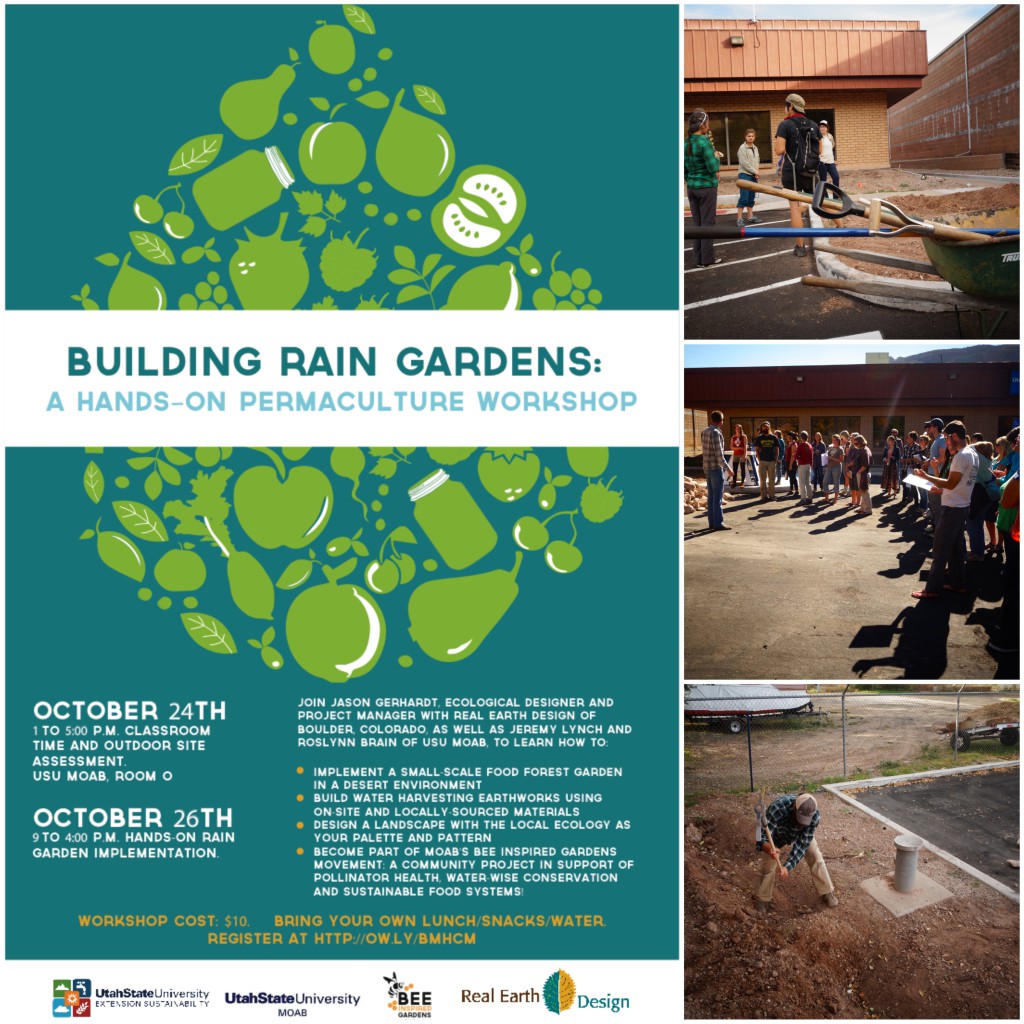 Building Rain Gardens: A Hands-On Permaculture Workshop
