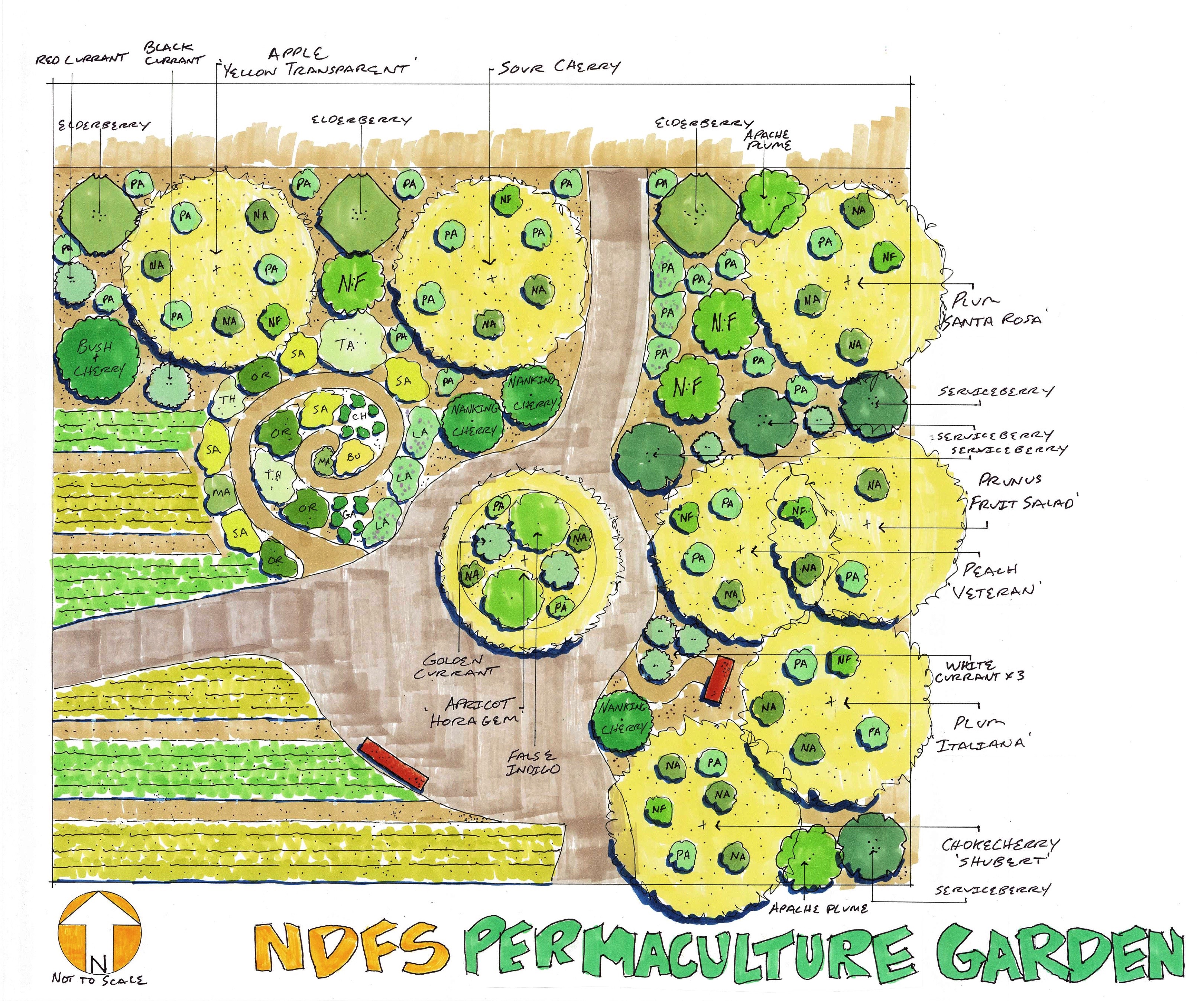 Logan Permaculture Garden Plan
