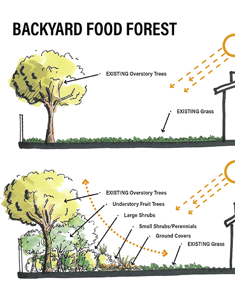 Food Forests