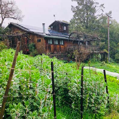 Occidental Arts & Ecology Center