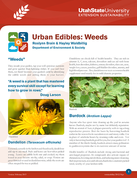 Urban Edibles: Weeds