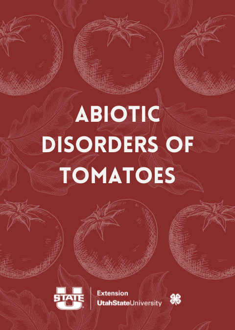 Abiotic Disorders of Tomatoes