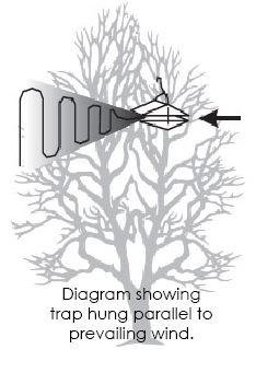 Trap diagram showing parallel prevalling winds