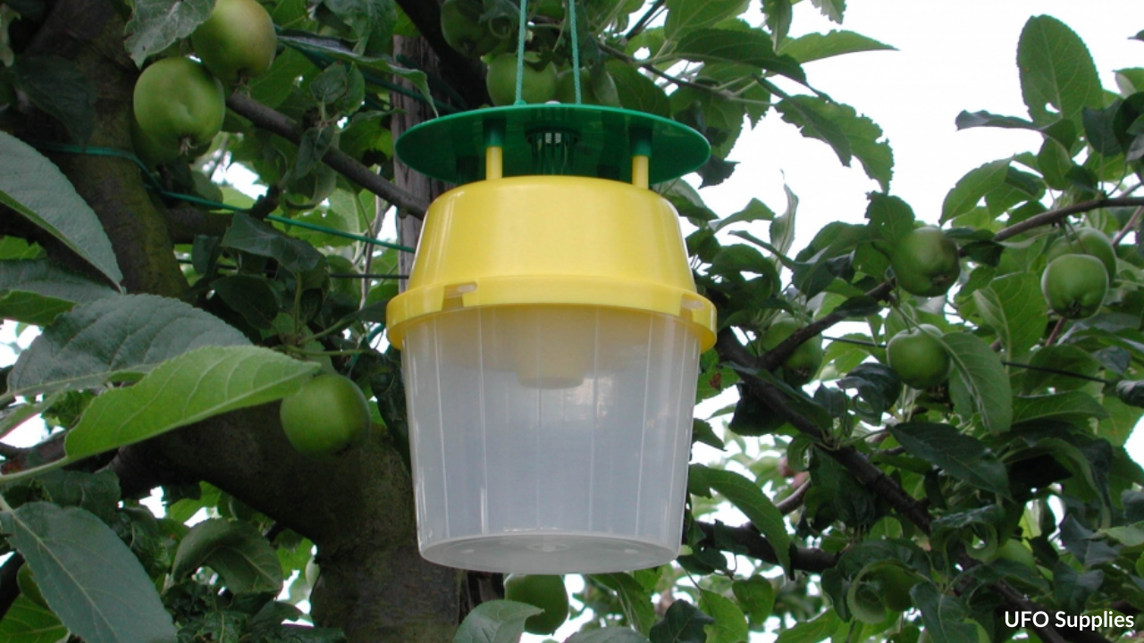 Bucket Trap for Insect Pests