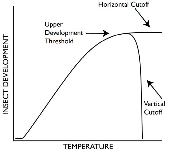 An insect’s development follows a predictable progression based on temperature. When insects reach their upper threshold, development of some species levels off (horizontal cutoff), and for other species, stops (vertical cutoff).
