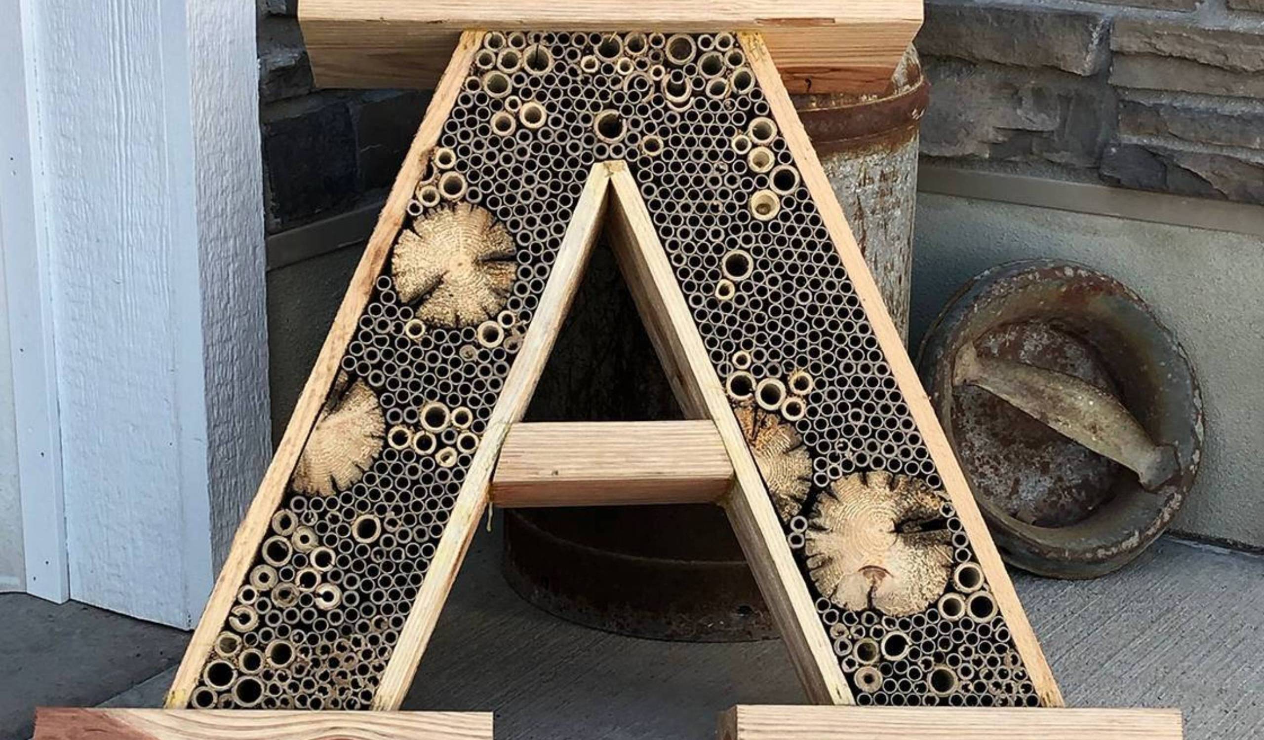 Aggie wild bee hotel 