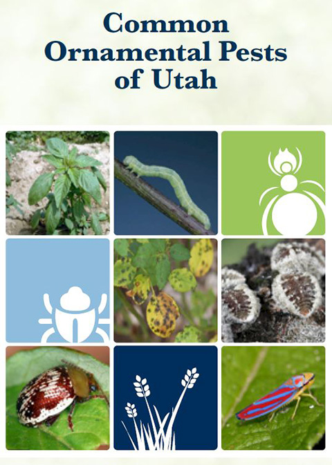 Common Ornamental Pests Guide Cover Image
