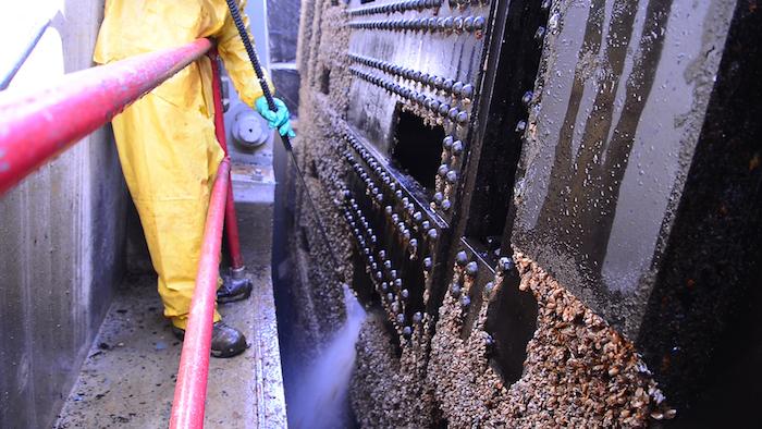 Cleaning quagga mussels from penstock gates at Glen Canyon Powerplant (Image: Chris Watt, U.S. Bureau of Reclamation)