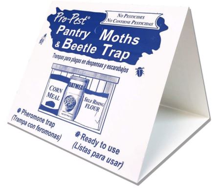 pantry-trap