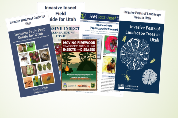 Assortment of educational materials available to the public