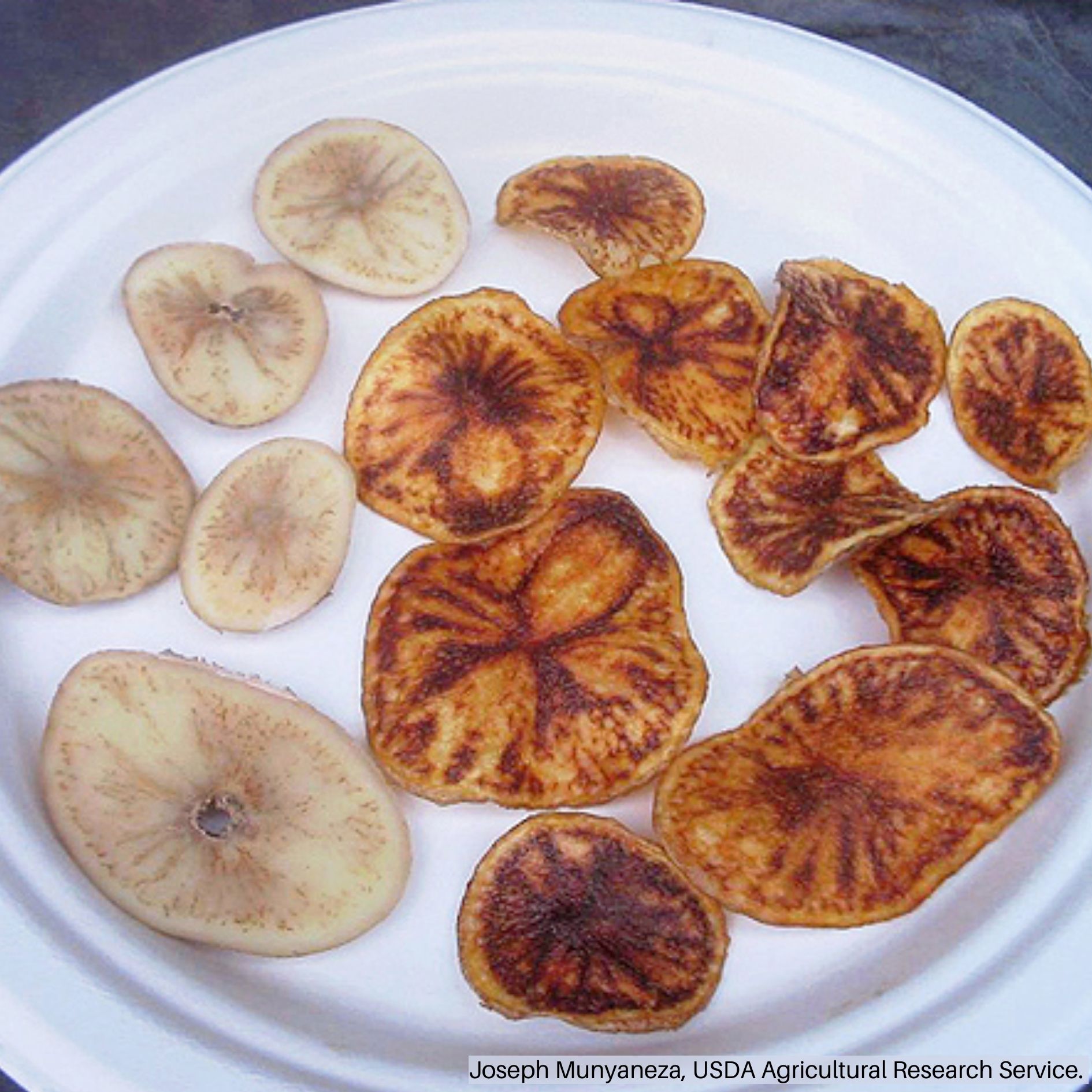 Potato Slices with Brown Discoloration