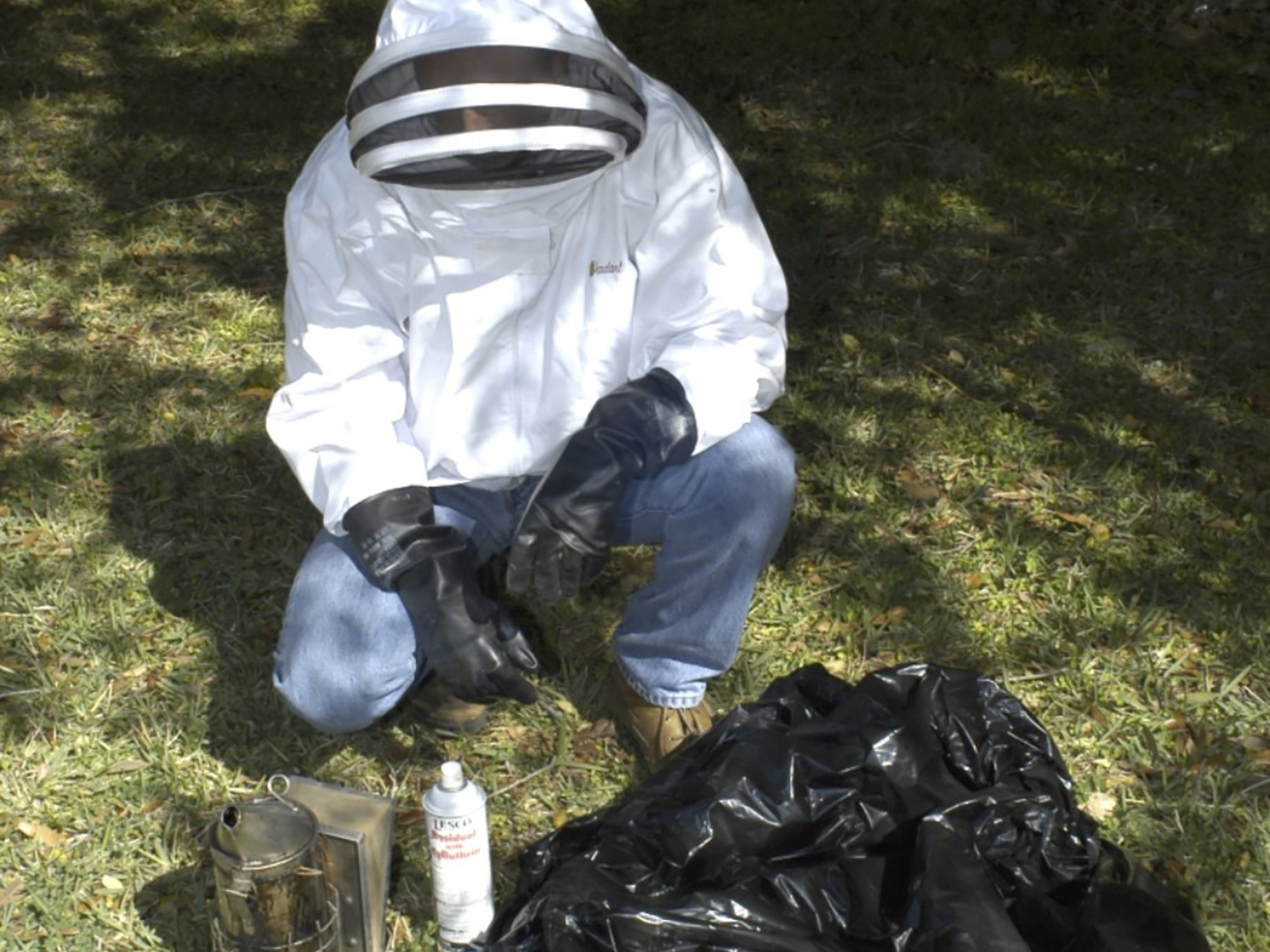 Fig. 10. Bee removal or control requires special safety equipment used by professionals.