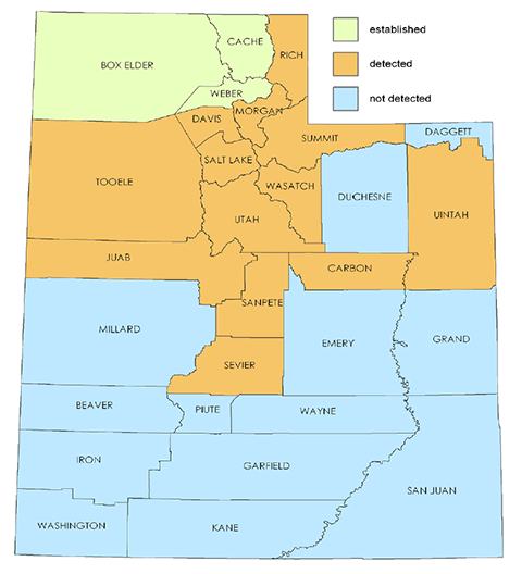 Fig. 2. Current cereal leaf beetle distribution in Utah as of 2006.