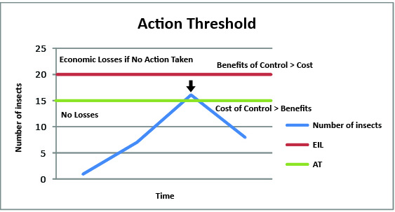 action threshold graph