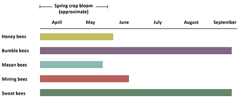 Fig. 2. Approximate Prime Bee Pollination Activity in Utah<br />Notes. Bee activity occurs beyond the months listed in this table. Prime<br />activity in southern Utah extends on both ends by a month or more. Image courtesy of Wilson & Messinger Carril (2016) and Zesiger et al, (2021).