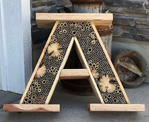 Fig. 1. Bee Hotels Can Be Creative, but All Require Regular Maintenance