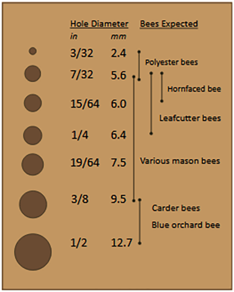 Fig. 4. Tube Diameters for Common Nesting Bees