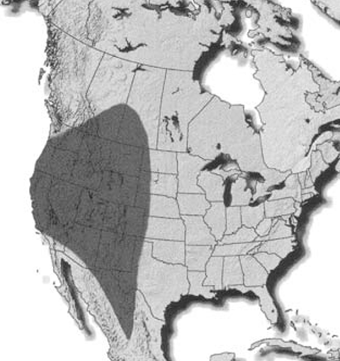 Fig. 1. Current Russian wheat aphid distribution in the U.S.