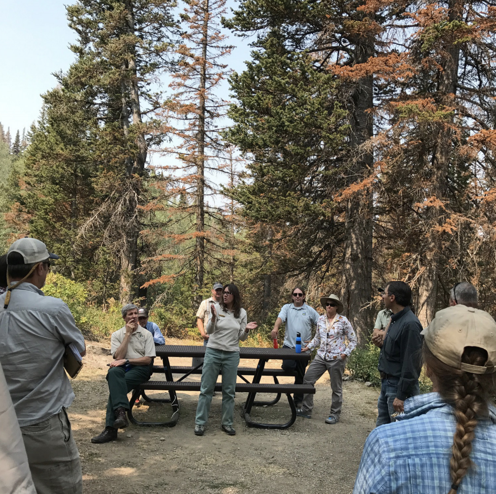 Utah partnership of interested agencies and stakeholders attended a tour of balsam woolly adelgid damaged sites in Farmington Canyon, September, 2017