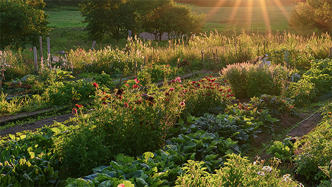 Organic Pesticides: A General Overview