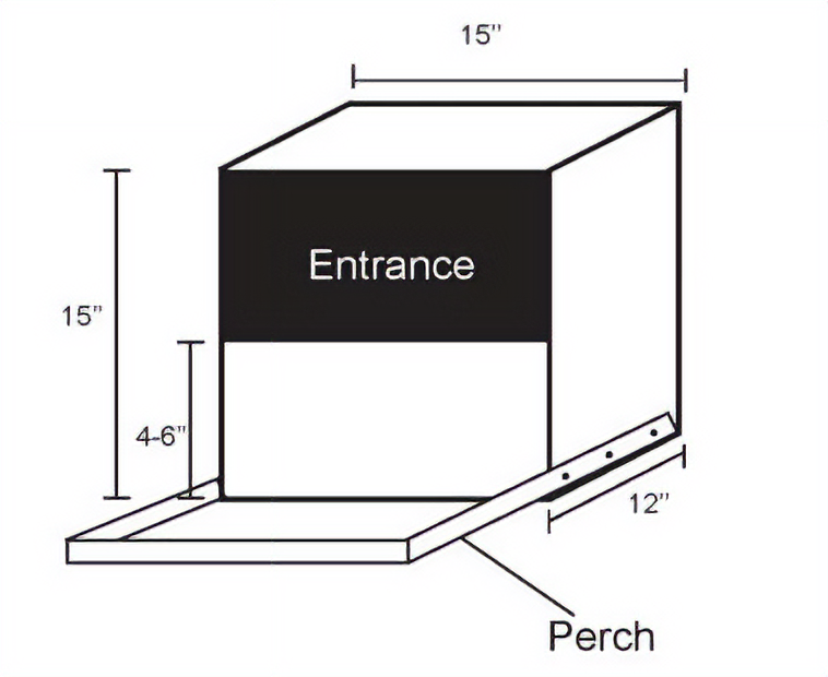 Diagram of a nesting box measuring 15 inches tall, 15 inches wide and 12 inches deep. A 4- to 6-inch front lip runs across the bottom of the open entrance, and a perch extends from the base.