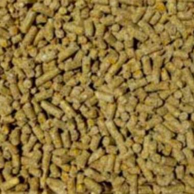 Small granular poultry feed crumbles.