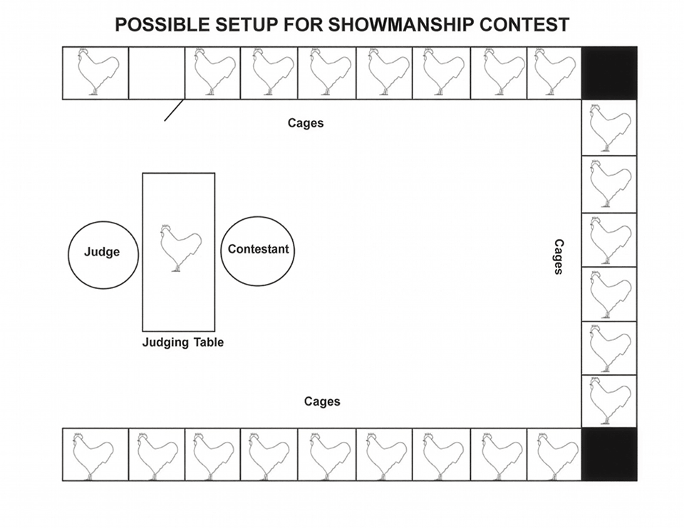 Diagram of a poultry showmanship contest setup showing a rectangular arrangement of cages containing chickens on all four sides, with a judging table and positions for judge and contestant in the center.
